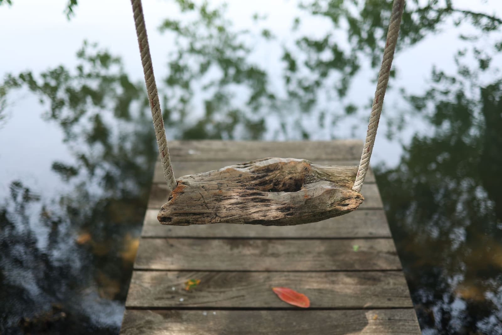 A driftwood swing on a wooden dock over the lake at Aji Fruit Farm — mist at dawn, fireflies at night, 45 minutes from Udawalawe
